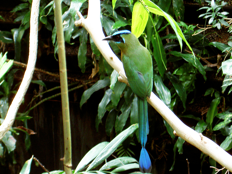 slideshow